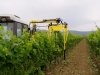 Trimmer for vineyard model 220T